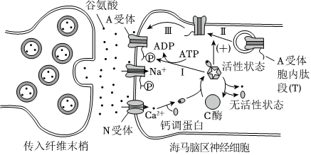 德优题库