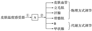 德优题库