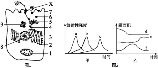 德优题库