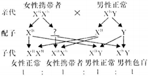 德优题库