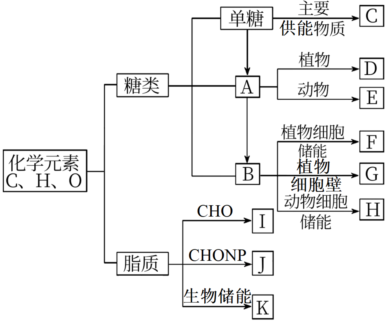 德优题库