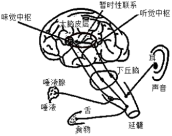 德优题库