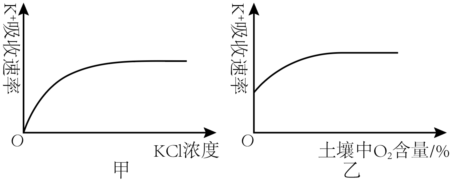 德优题库