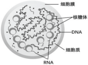 德优题库