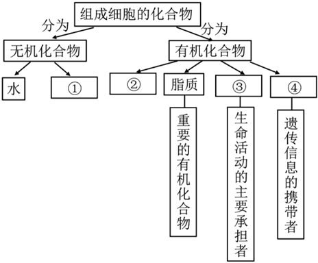 德优题库