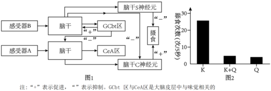 德优题库