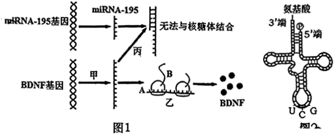 德优题库