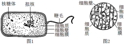 德优题库