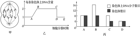 德优题库