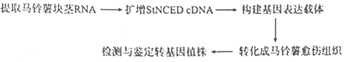 德优题库