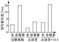 德优题库
