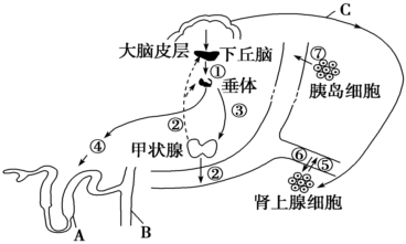 德优题库