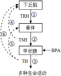 德优题库