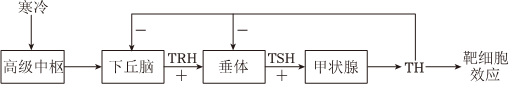 德优题库