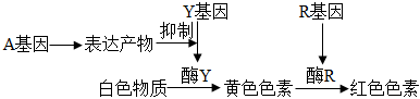 德优题库