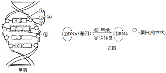 德优题库