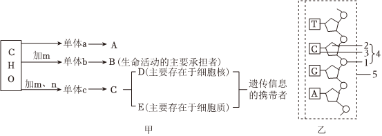 德优题库