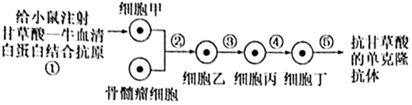 德优题库