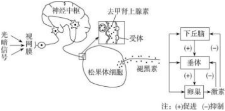 德优题库