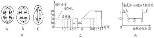 德优题库