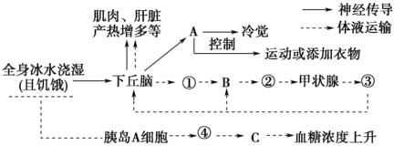 德优题库