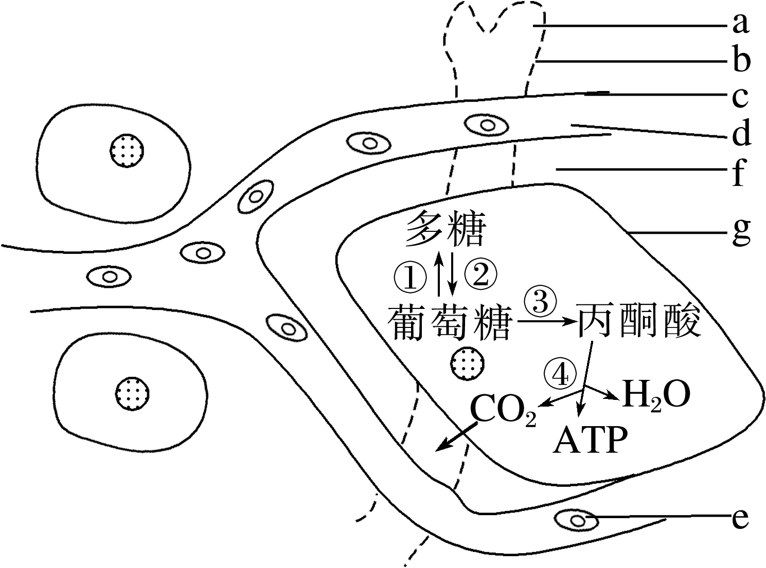 德优题库
