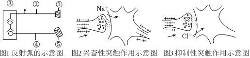 德优题库