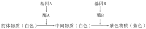 德优题库
