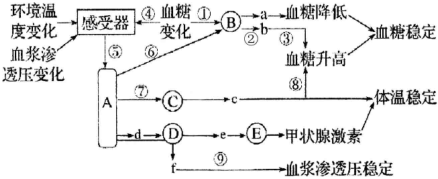 德优题库