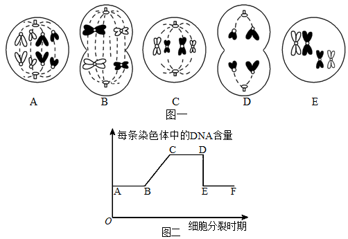 德优题库