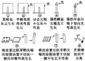 德优题库