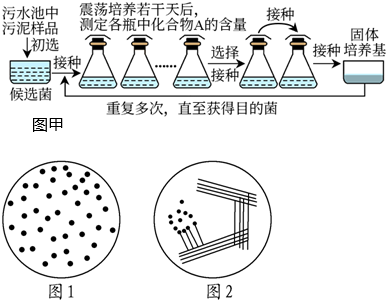 德优题库