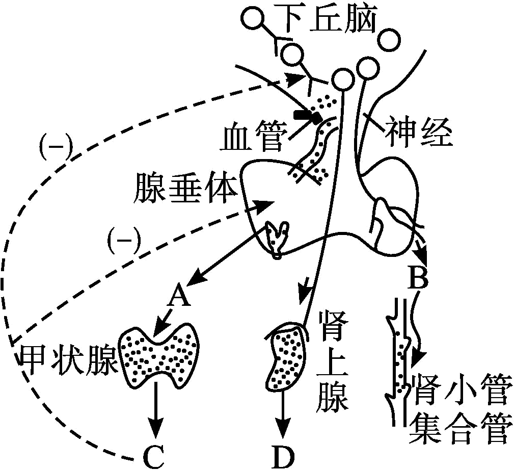 德优题库