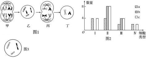 德优题库