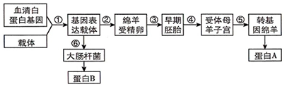德优题库