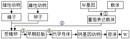 德优题库