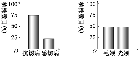 德优题库