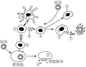 德优题库