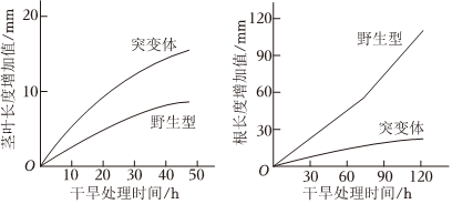 德优题库