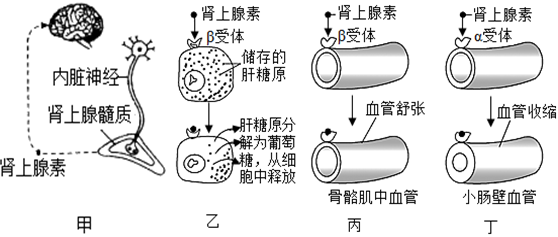 德优题库