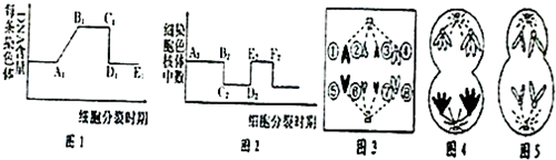 德优题库