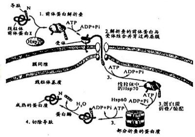 德优题库
