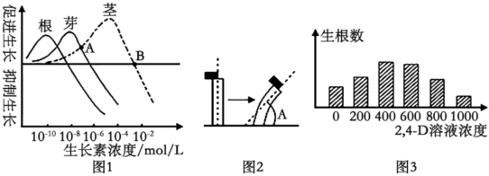 德优题库