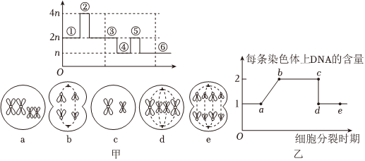 德优题库