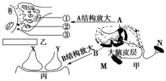 德优题库