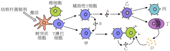 德优题库