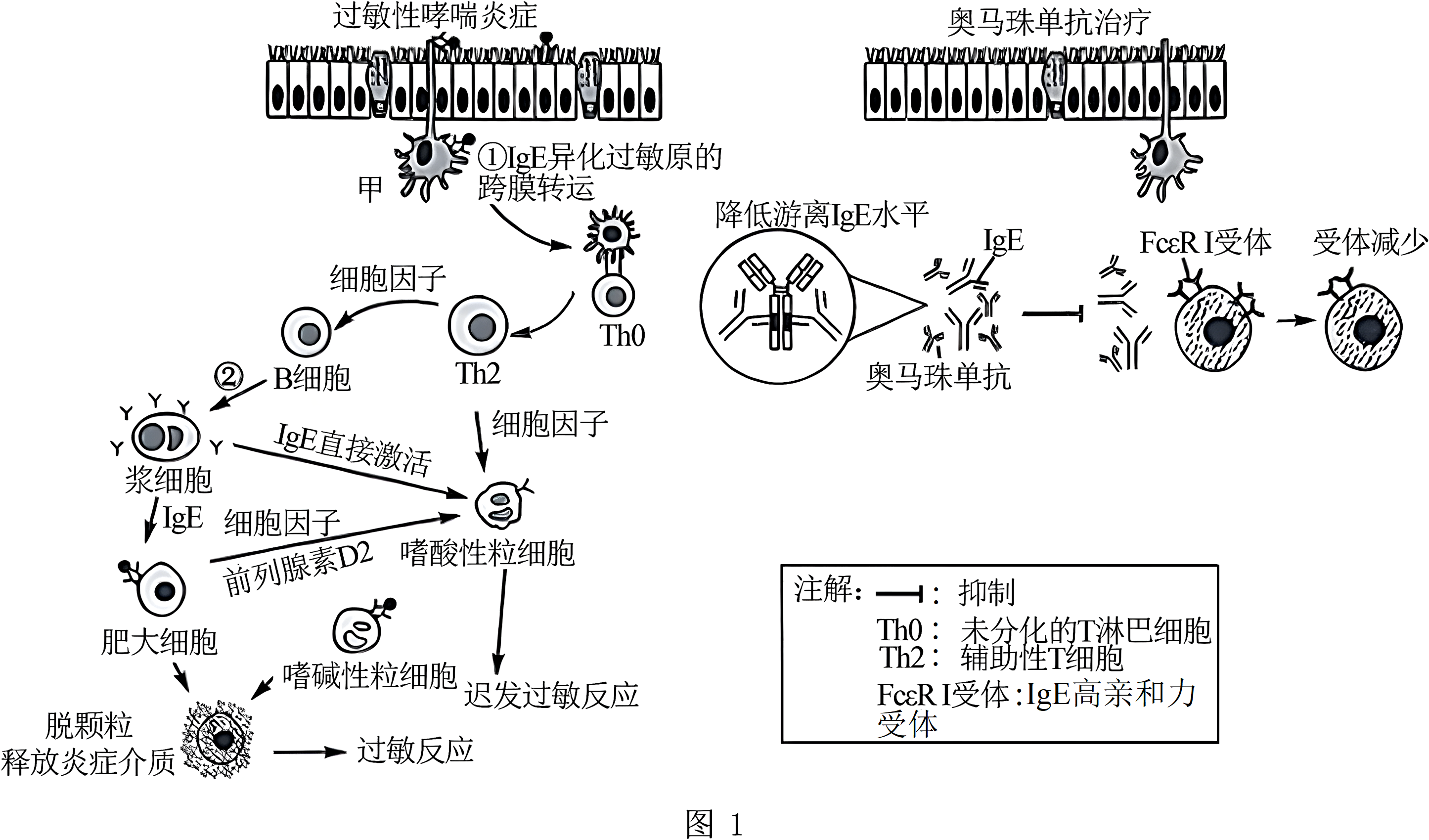 德优题库