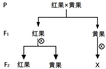 德优题库