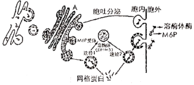 德优题库