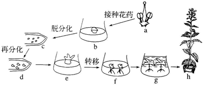 德优题库